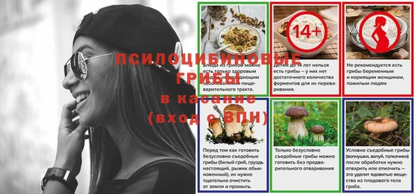 винт Чердынь
