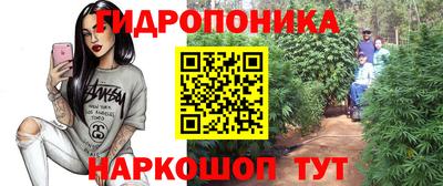 герыч Гатчина