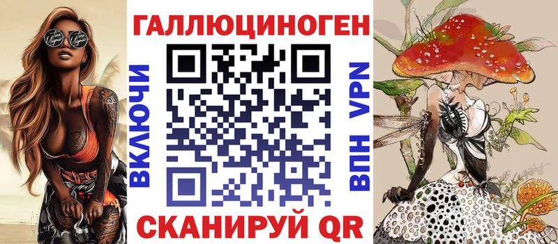 Галлюциногенные грибы Psilocybe Волоколамск