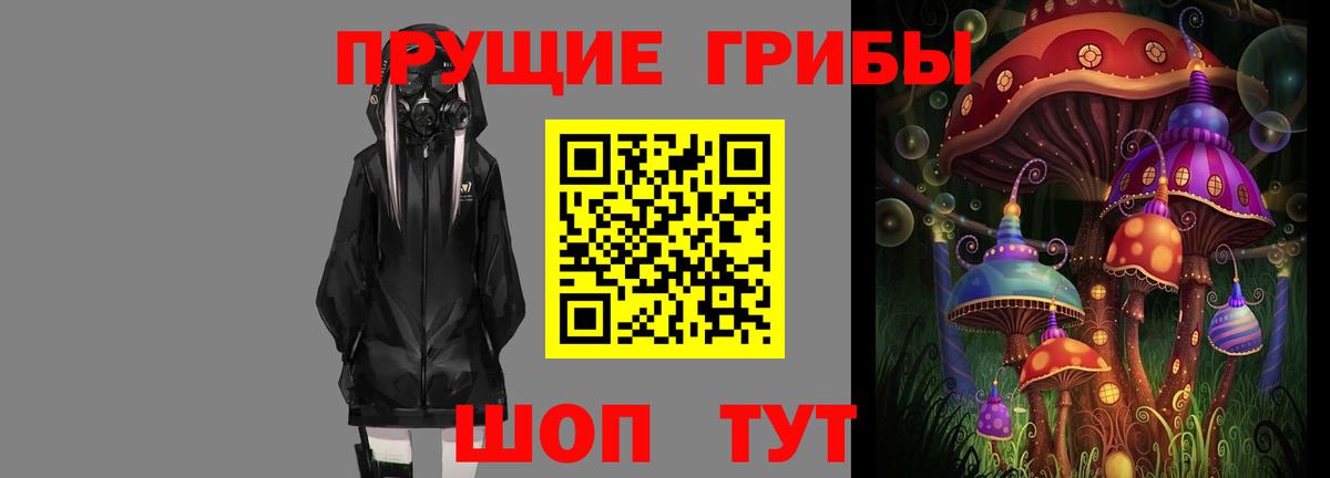 Псилоцибиновые грибы прущие грибы Волоколамск